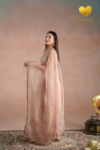 Dusty Blush Zari Saree