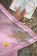 Baby Pink Kashmiri Leaf & Motif Embroidered Organza Saree
