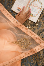 Pastel Peach Kashmiri Leaf & Motif Embroidered Organza Saree