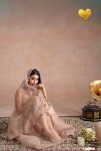 Dusty Blush Zari Saree