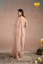 Dusty Blush Zari Saree